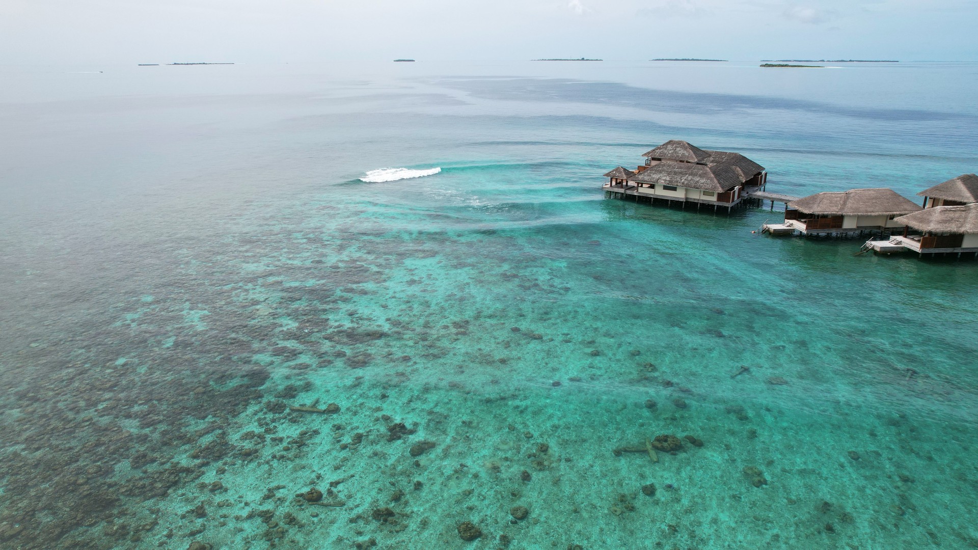 Luxury overwater bungalows in crystal clear turquoise water with coral reef