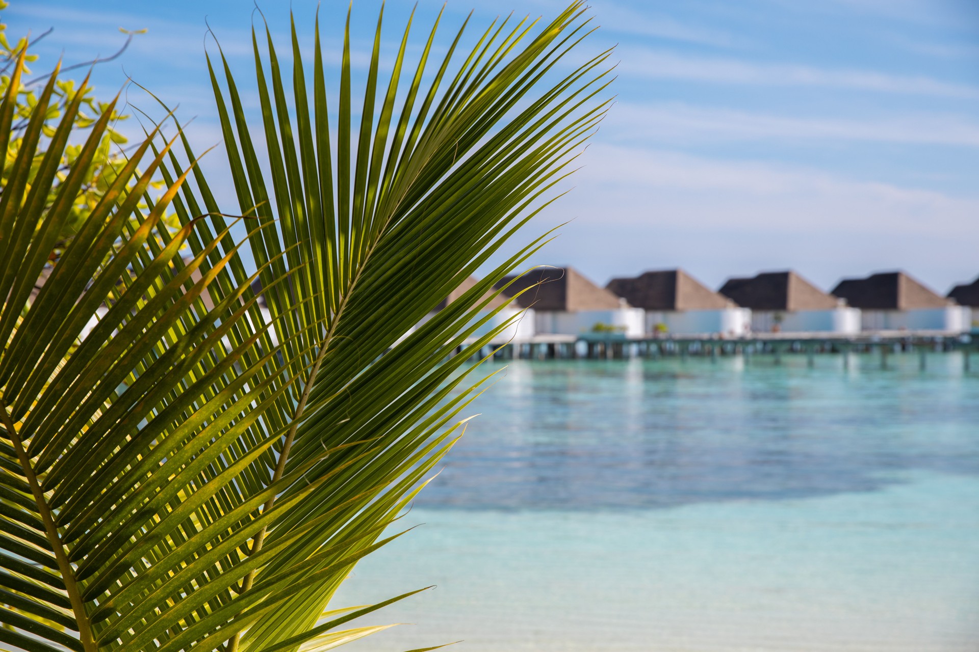 Maldives Water Villa Bungalow Overwater in idyllic turquoise beach lagoon with palm leaves at luxury resort hotel